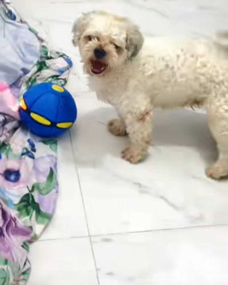 Review by Amelia Roberts