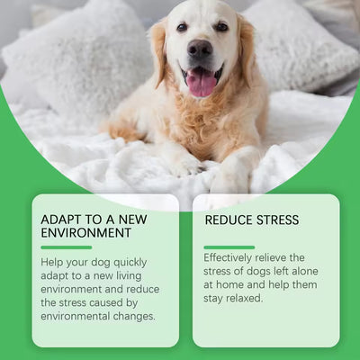 Whizzhop™ Pet Calming Pheromone Diffuser and Spray for Cats and Dogs