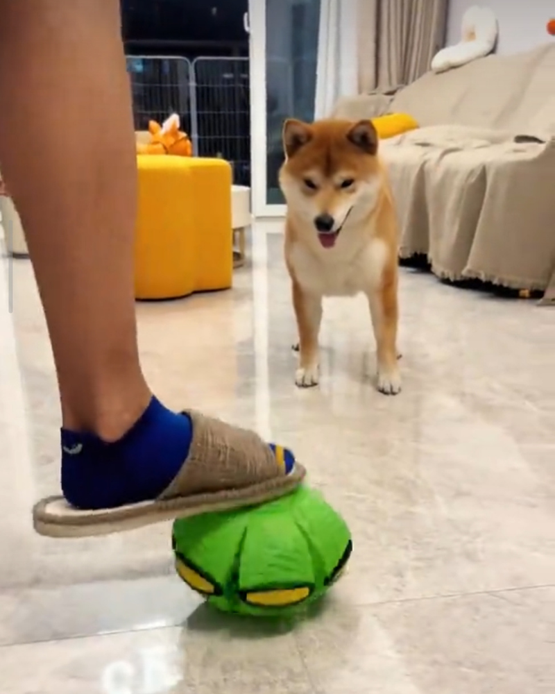 Review by Ryan Cooper