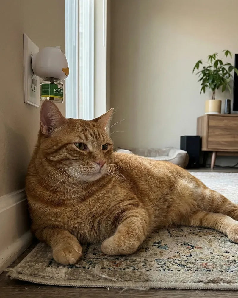 Review by Carolina Mendes