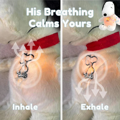 Whizzhop™ Breathing Snoop Plush for Anxiety